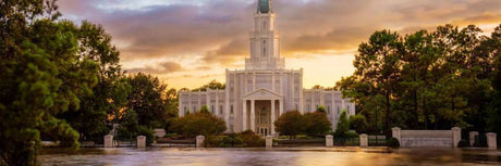 Houston Temple Pictures by Robert Boyd - Flourishing After the Flood