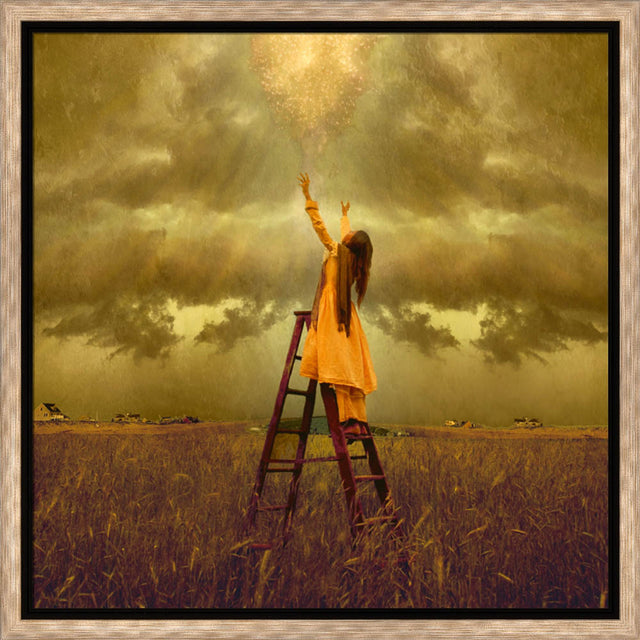 LDS art image of a girls standing on a ladder in a field, reaching up toward Heaven. Light and shines down on her.