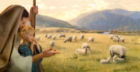 Jesus kneels by small boy and points to the field of sheep