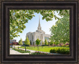 Ogden Utah Temple- Spring Blossoms