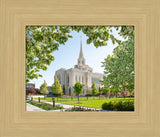 Ogden Utah Temple- Spring Blossoms