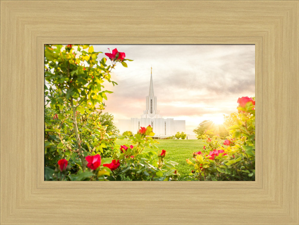 Jordan River Utah Temple - Roses by Evan Lurker