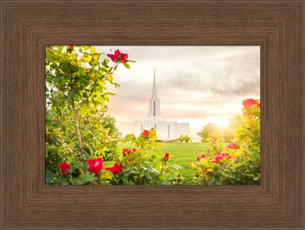 Jordan River Utah Temple - Roses by Evan Lurker