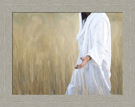 The Gatherer - framed giclee canvas