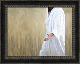 The Gatherer - framed giclee canvas