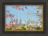 Washington DC Temple - Spring Flower View by Kyle Woodbury