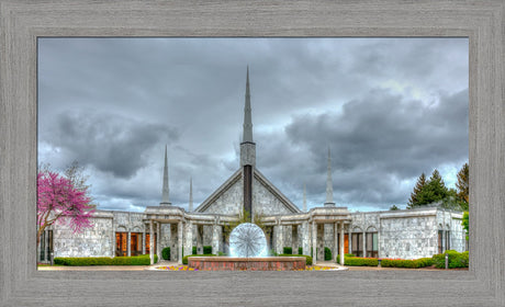 Chicago Temple - Dandelion Temple by Kyle Woodbury