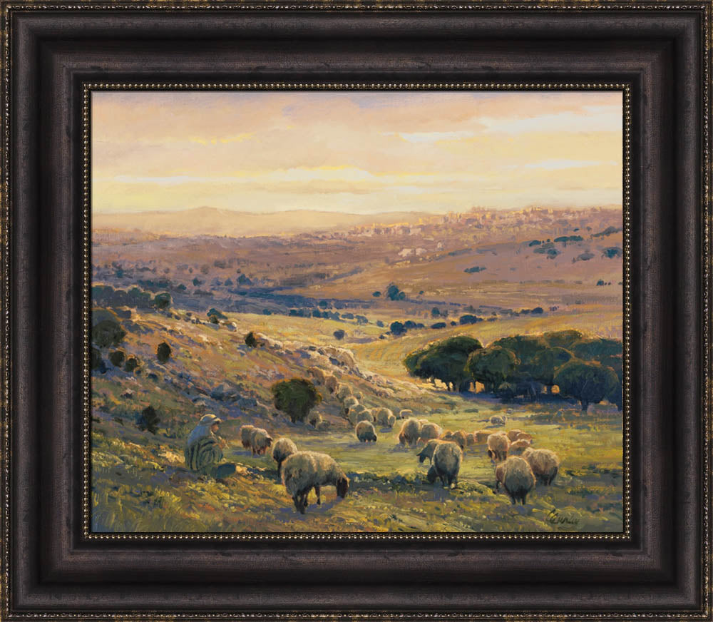 Shepherd's Field by Linda Curley Christensen