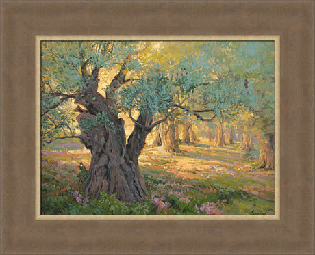 Olive trees in the garden of Gethsemane with light shinning through. Art 18