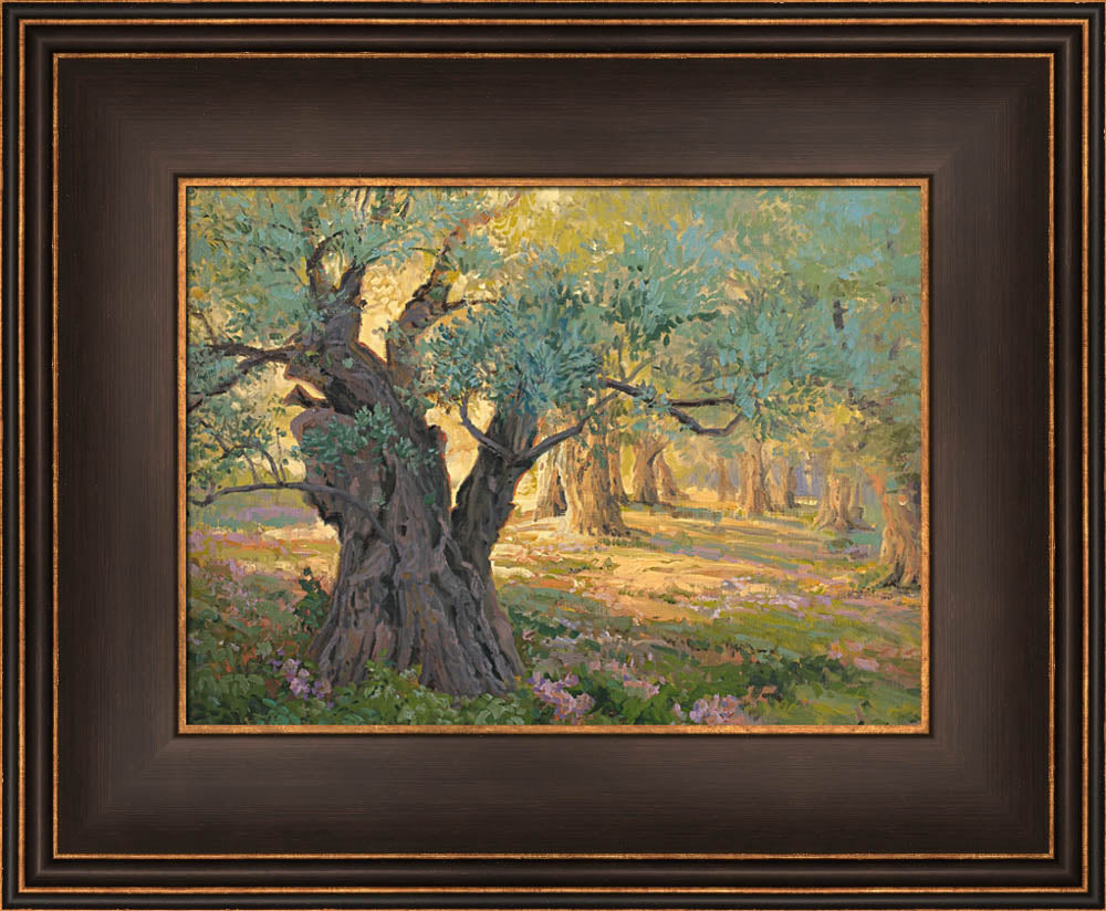 Olive trees in the garden of Gethsemane with light shinning through. Art 17