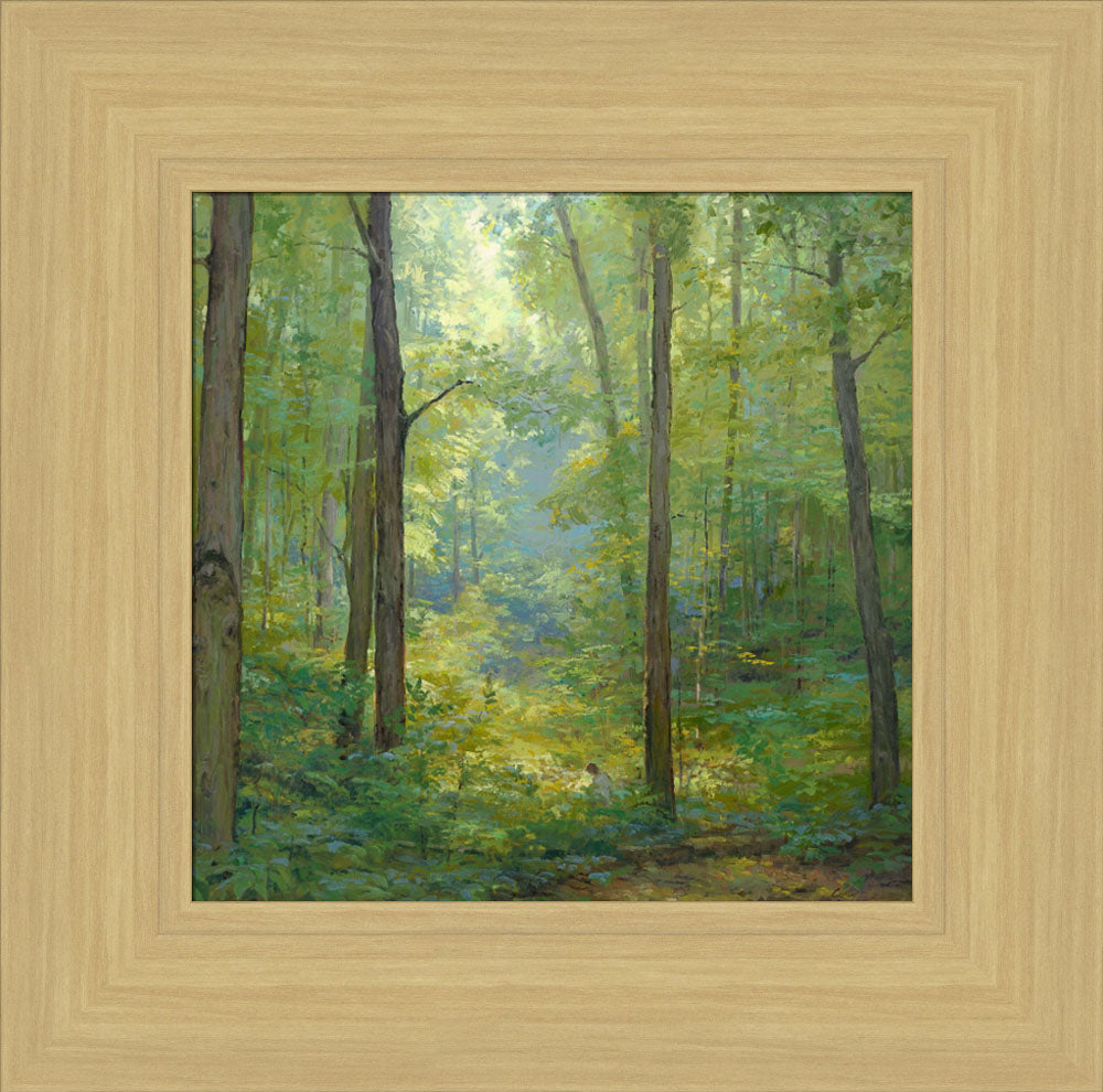 Joseph Smith kneeling in a grove of trees with a beam of light shining on him. Art 23