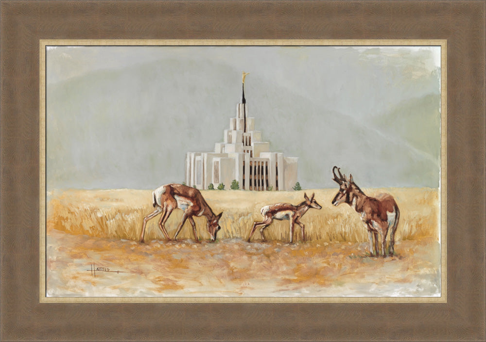 Saratoga Springs Temple- Misty Morning- Lori Hatfield