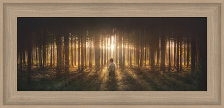 Young Joseph Smith kneeling in a grove of trees with light shining through.  Art 12