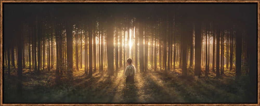 Young Joseph Smith kneeling in a grove of trees with light shining through.  Art 13