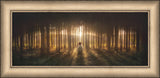 Young Joseph Smith kneeling in a grove of trees with light shining through.  Art 14