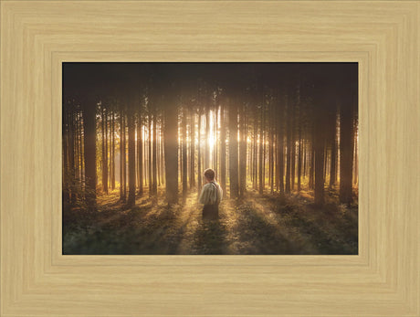 Young Joseph Smith kneeling in a grove of trees with light shining through.  Art 10