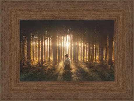 Young Joseph Smith kneeling in a grove of trees with light shining through.  Art 9