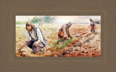 The Sower - framed giclee canvas