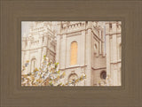 Salt Lake Temple - Regal by Mandy Jane Williams