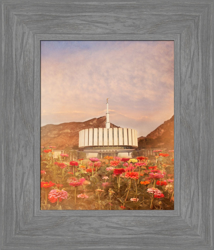 Provo Utah Temple - Flowers by Mandy Jane Williams