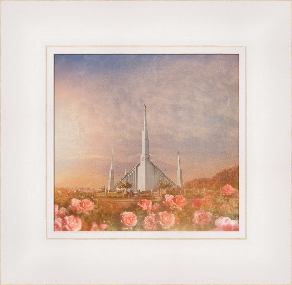 Boise Temple - Roses by Mandy Jane Williams