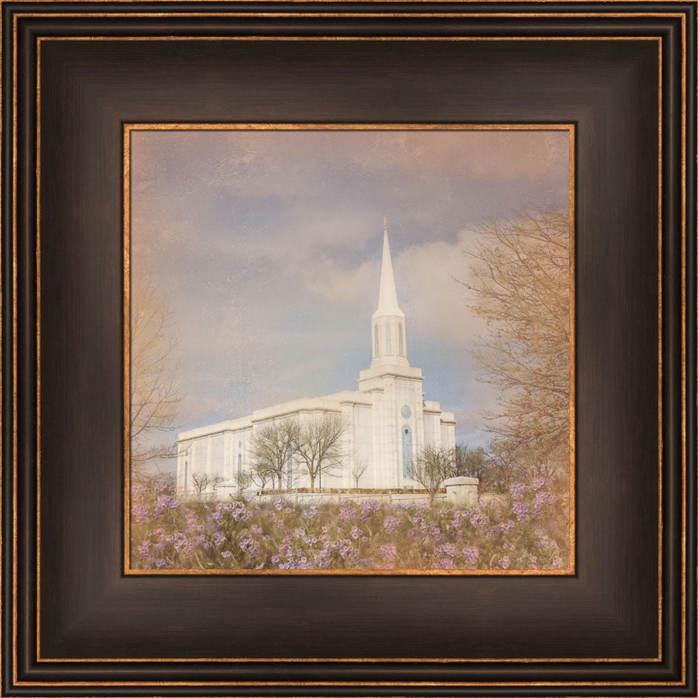 St. Louis Temple - Bluebells