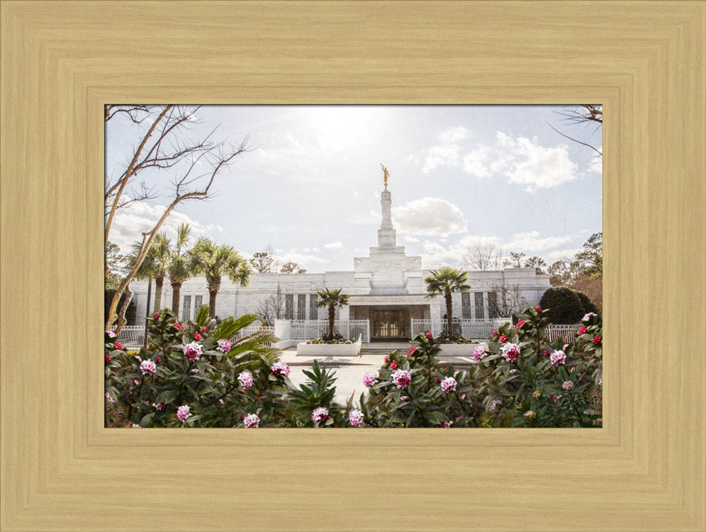 Columbia South Carolina Temple- Increased Faith