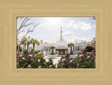 Columbia South Carolina Temple- Increased Faith