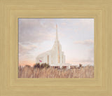 Rexburg Temple - Fruitful Field by Mandy Jane Williams