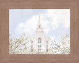 Kansas City Temple- Divine Light