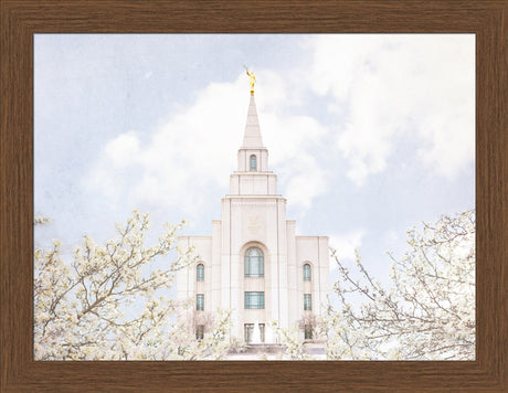 Kansas City Temple- Divine Light