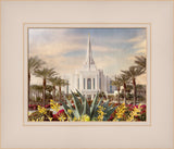 Gilbert Temple - Healing Aloe by Mandy Jane Williams