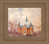 Provo City Center Temple- Blossoms