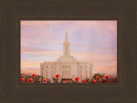 Pocatello Idaho - Indian Paintbrush by Mandy Jane Williams