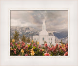 Orem Temple-Mountain Majesty - framed giclee canvas