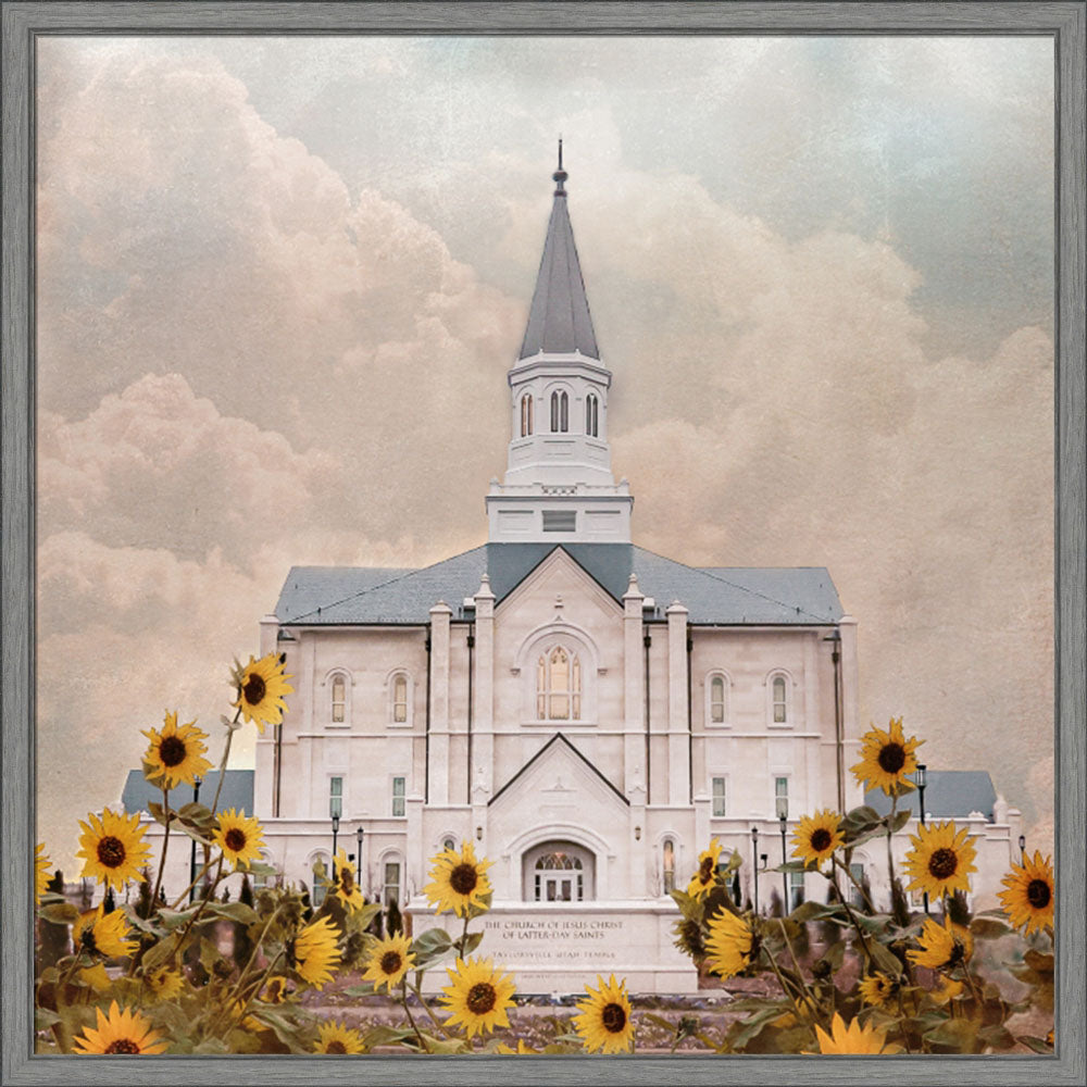 Taylorsville Utah Temple- Wild Sunflowers - framed giclee canvas