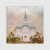 Taylorsville Utah Temple- Wild Sunflowers - framed giclee canvas