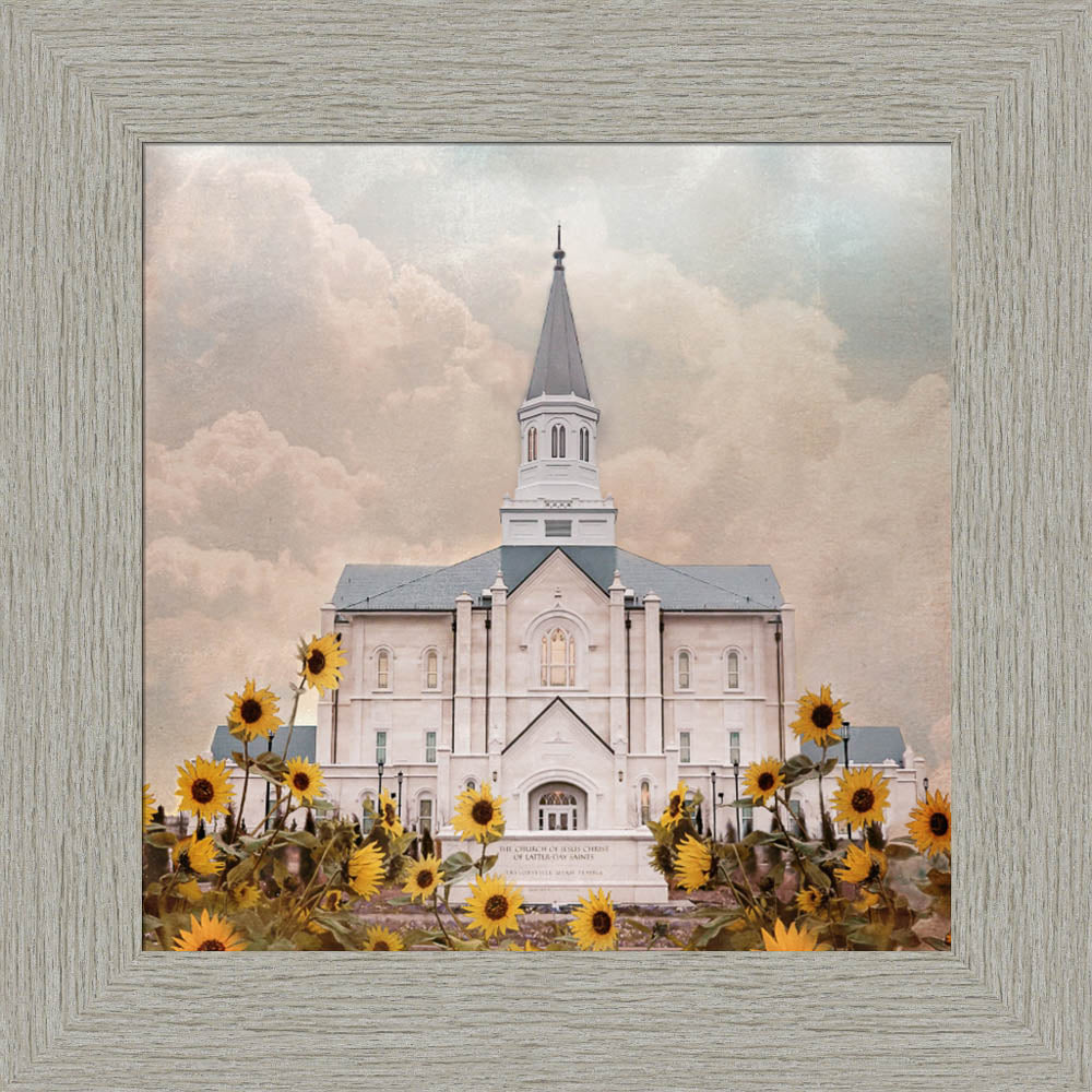 Taylorsville Utah Temple- Wild Sunflowers - framed giclee canvas