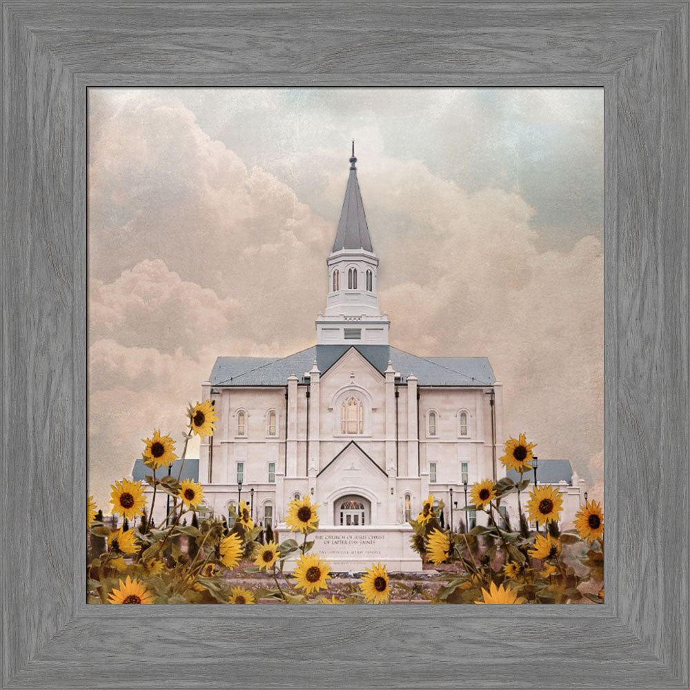 Taylorsville Utah Temple- Wild Sunflowers - framed giclee canvas