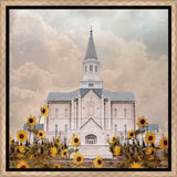 Taylorsville Utah Temple- Wild Sunflowers - framed giclee canvas