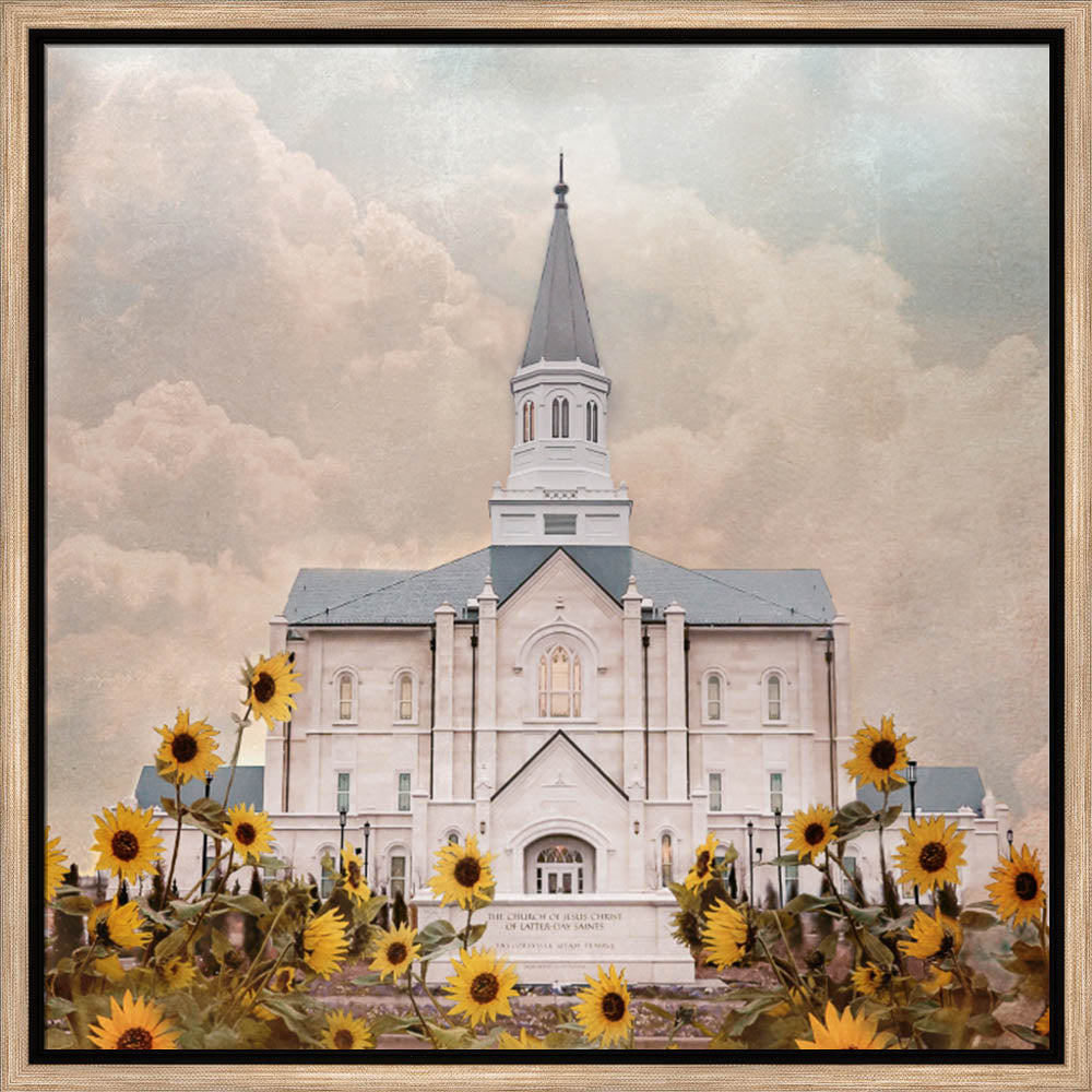 Taylorsville Utah Temple- Wild Sunflowers - framed giclee canvas