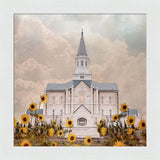 Taylorsville Utah Temple- Wild Sunflowers - framed giclee canvas