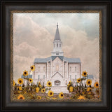 Taylorsville Utah Temple- Wild Sunflowers - framed giclee canvas