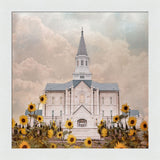 Taylorsville Utah Temple- Wild Sunflowers - framed giclee canvas