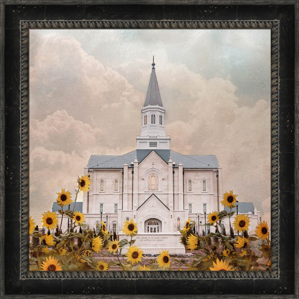 Taylorsville Utah Temple- Wild Sunflowers - framed giclee canvas