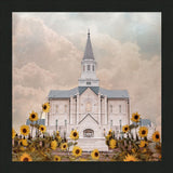 Taylorsville Utah Temple- Wild Sunflowers - framed giclee canvas