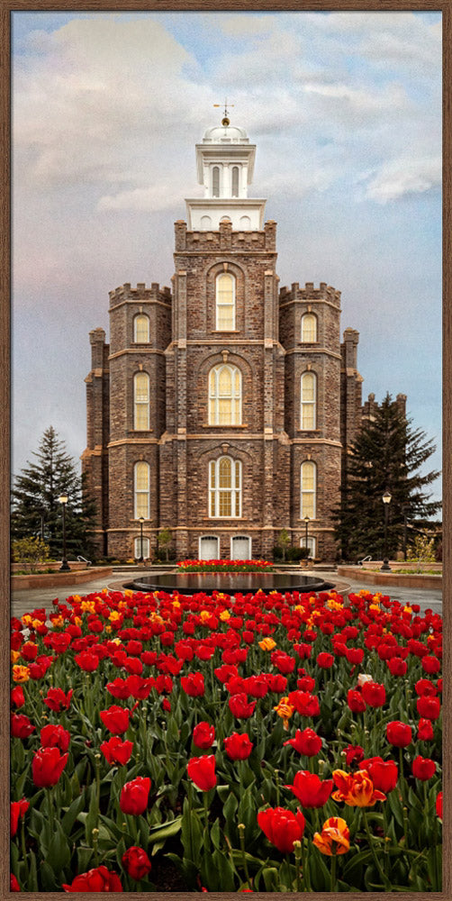 Logan Temple - Tulips by Robert A Boyd