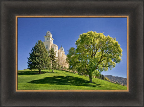 Manti Temple - Summer Tree by Robert A Boyd