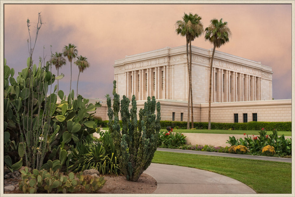 Mesa Temple - Cactus Path by Robert A Boyd