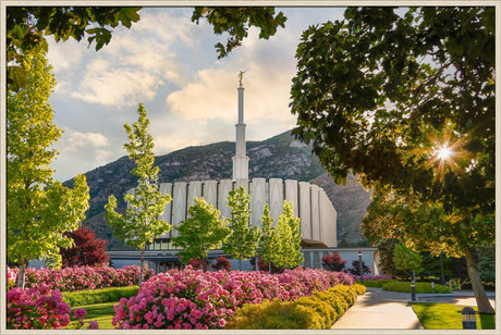 Provo Temple - Pink Roses by Robert A Boyd